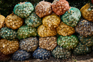 What a Year! Our 2022 Sourcing Report is Out