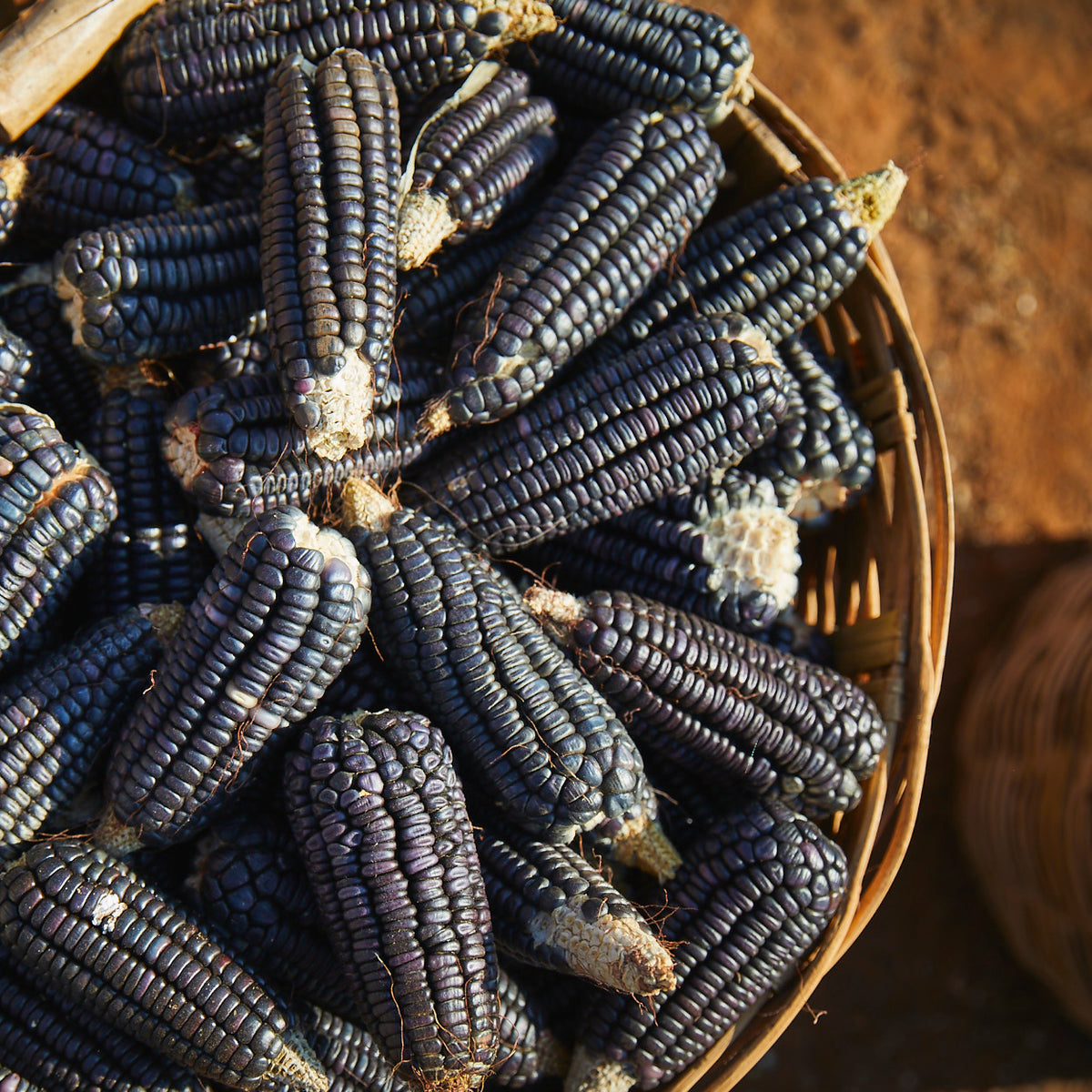 Azul brillante