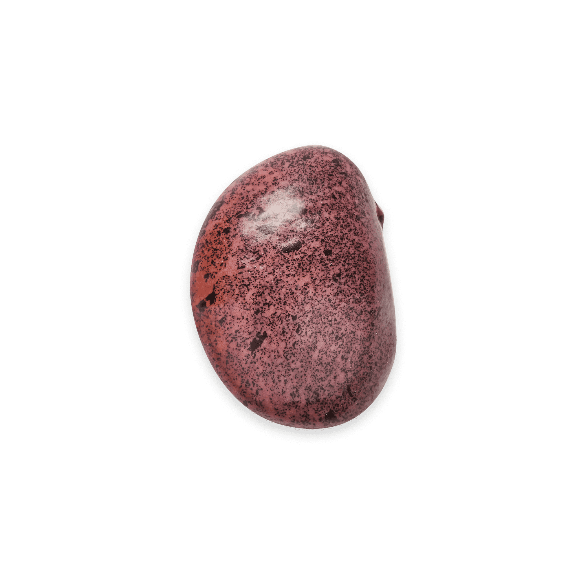 Heirloom Beans | Masienda Purple Ayocote Morado from Mexico
