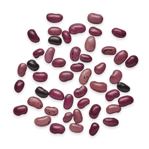 Heirloom Beans | Masienda Purple Ayocote Morado from Mexico | #2 of #3
