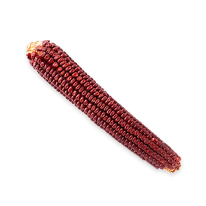 Jala Rojo - Mazorca | #4 of #4