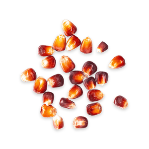 Jala Rojo - Pile | #3 of #4