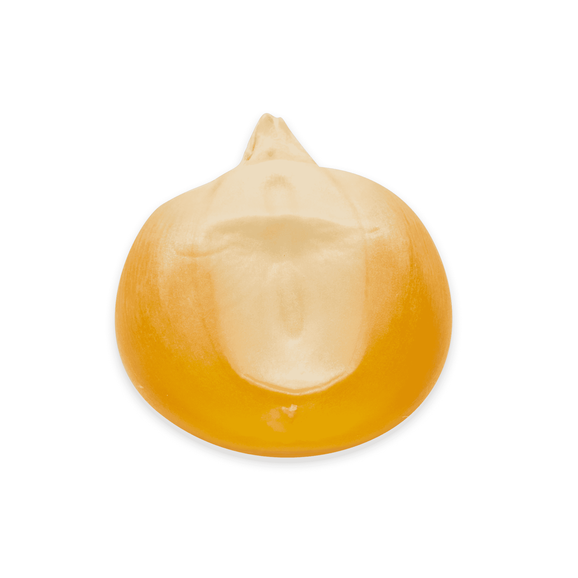 Heirloom Corn | Masienda Yellow Jala Amarillo from Mexico | #1 of #3