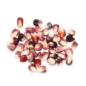 Heirloom Corn | Masienda Wholesale Red Mushito | 55 lb | #3 of #3