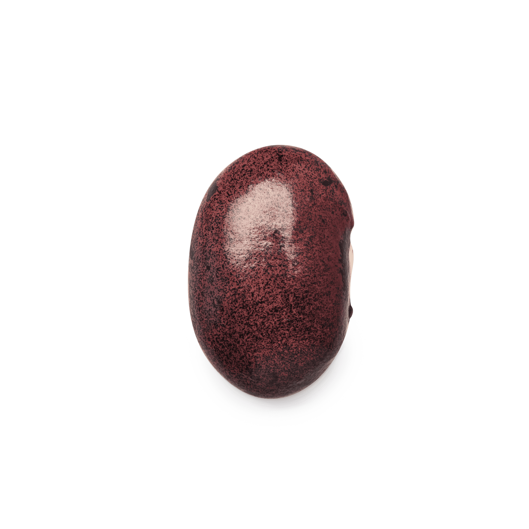 Heirloom Ayocote Pinto Beans | Masienda Mexican Beans
