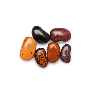 Heirloom Ayocote Pinto Beans | Masienda Mexican Beans | #2 of #3