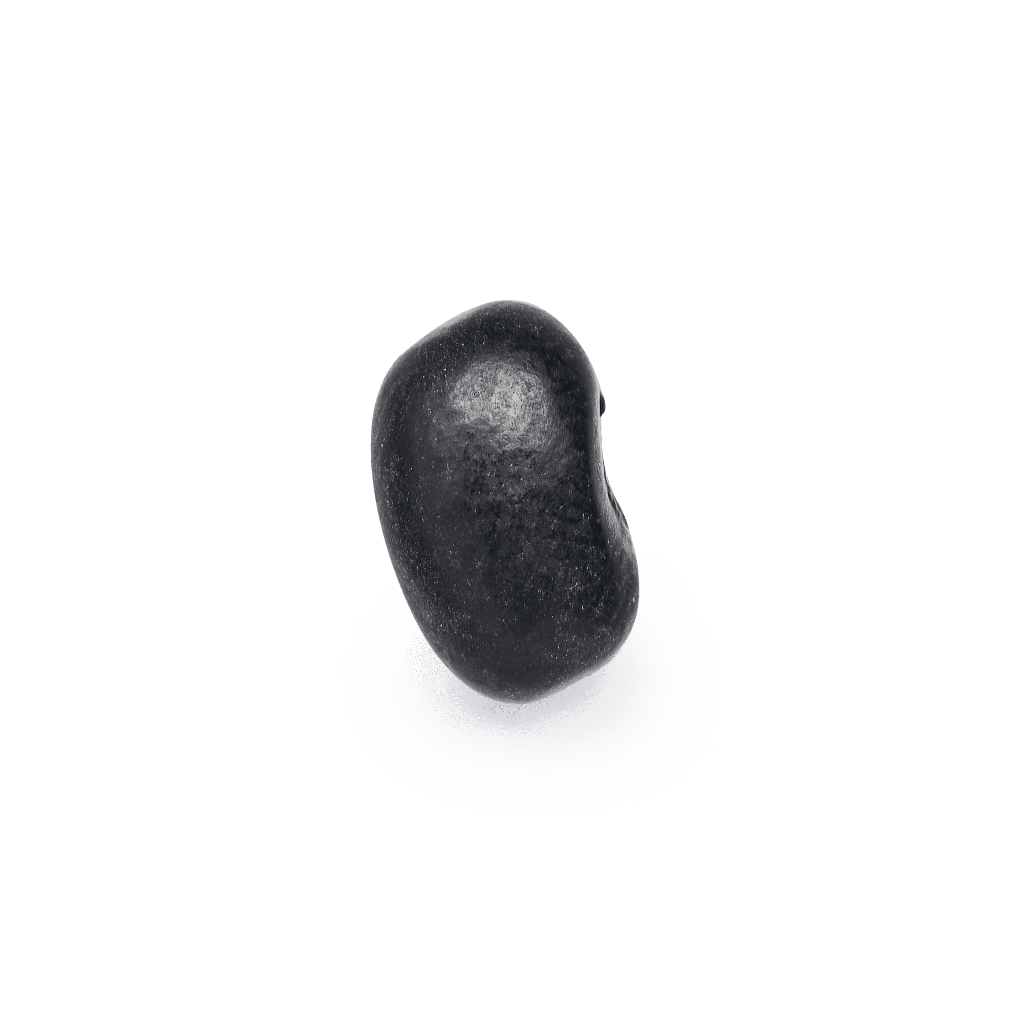 Heirloom Chatino Beans | Masienda Mexican Beans | 55 lb