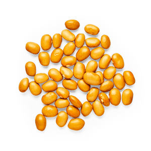Heirloom Amarillo Beans | Masienda Mexican Beans | 2.2 lb | #2 of #2