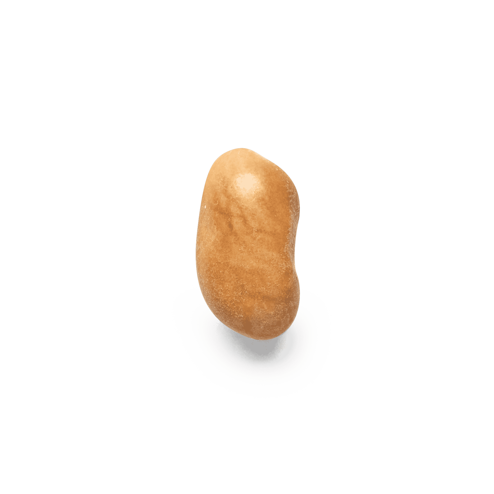 Heirloom Bayo Beans | Masienda Mexican Beans | 55 lb | #1 of #2