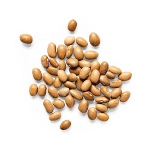 Heirloom Bayo Beans | Masienda Mexican Beans | 2.2 lb | #2 of #3