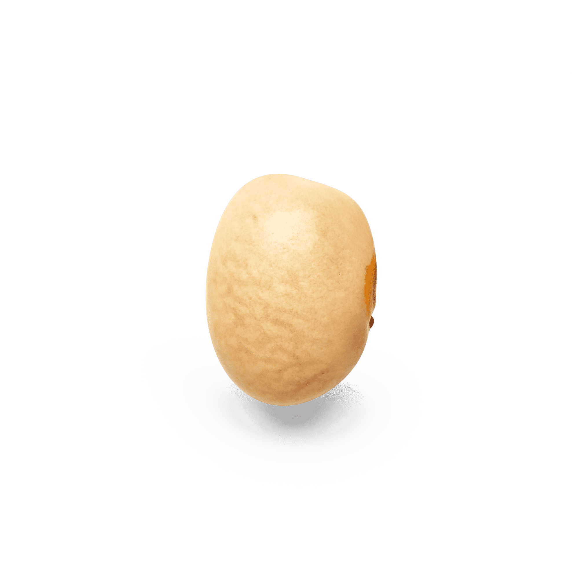 Heirloom Mantequilla Beans | Masienda Mexican Beans | 2.2 lb | #1 of #3