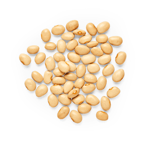 Heirloom Mantequilla Beans | Masienda Mexican Beans | 2.2 lb | #2 of #3