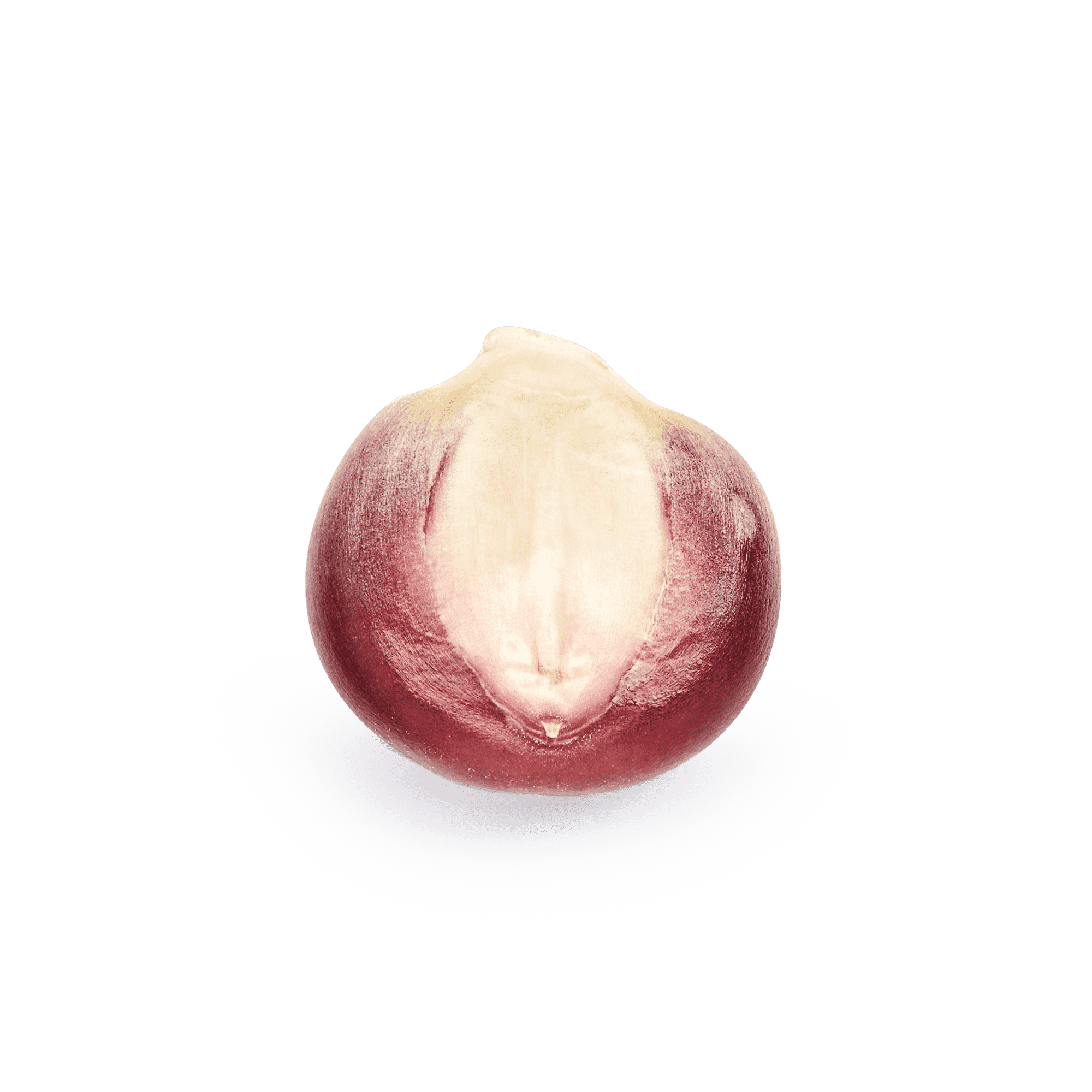 Heirloom Corn | Masienda Wholesale Bolita Belatove | 55 lb