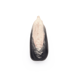 Blue Cónico (Wholesale)