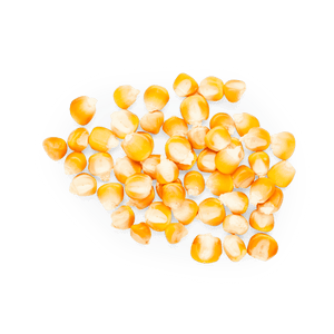 Heirloom Corn | Masienda Yellow Bolita Amarillo | 55 lb | #3 of #4