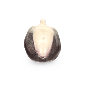 Blue Bolita (Wholesale)