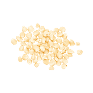 Heirloom Corn | Masienda Wholesale White Bolita | 55 lb | #3 of #3