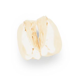 Heirloom Corn | Masienda Cacahuazintle for Pozole | #2 of #4