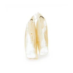 Heirloom Corn | Masienda White Chalqueño from Mexico | 55 lb | #2 of #3