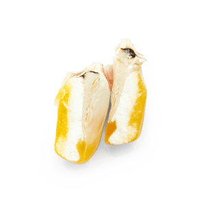 Heirloom Corn | Masienda Wholesale Yellow Olotillo | 55 lb | #2 of #3