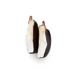 Heirloom Corn | Masienda Purple Cónico from Mexico | 55 lb | #2 of #3