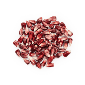 Red Cónico | Masienda Heirloom Corn from Mexico - 55 lb | #3 of #3