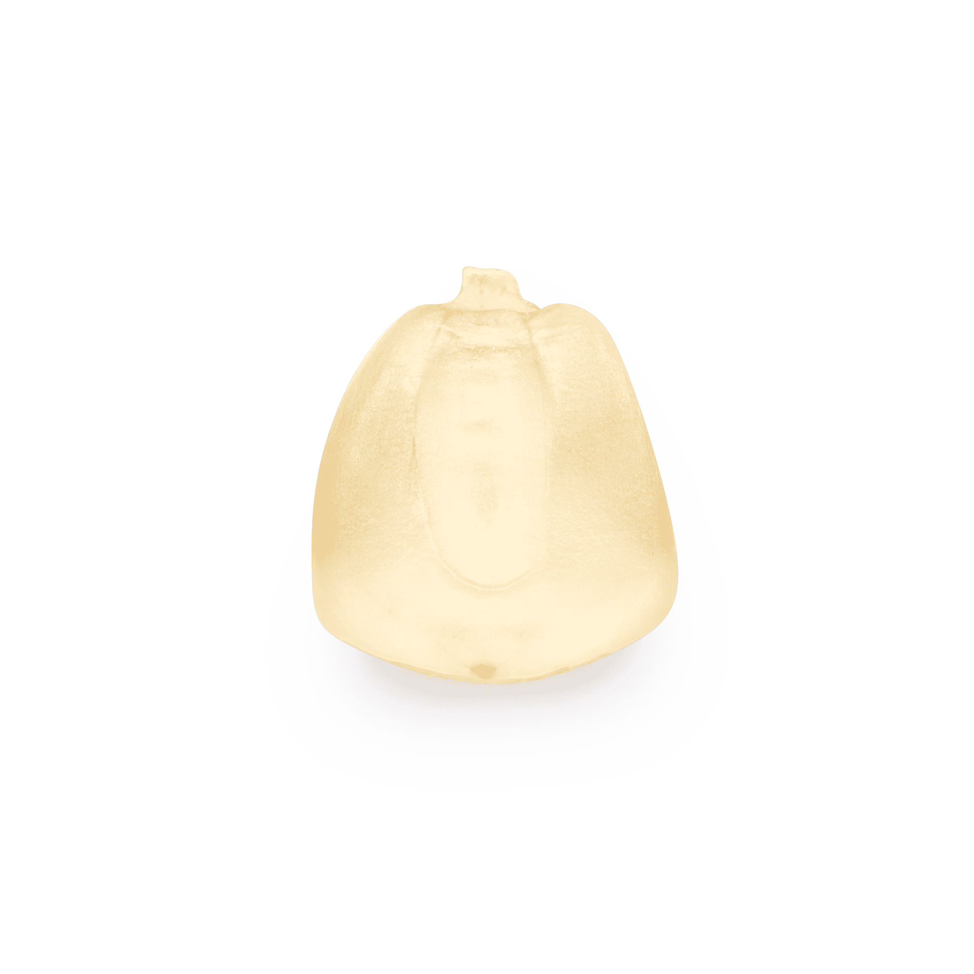 Heirloom Corn | Masienda White Olotillo Blanco from Mexico | #1 of #4