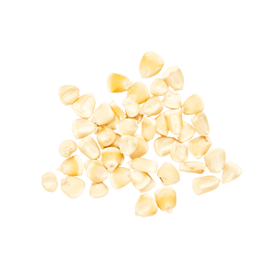 Heirloom Corn | Masienda White Olotillo Blanco | 55 lb | #3 of #3