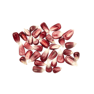 Heirloom Corn | Masienda Pink Xocoyul | 55 lb | #3 of #3