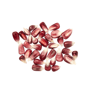 Heirloom Corn | Masienda Pink Xocoyul from Mexico | #3 of #4
