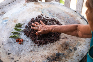 Masienda Chicatana Hormigas tostando en el comal
