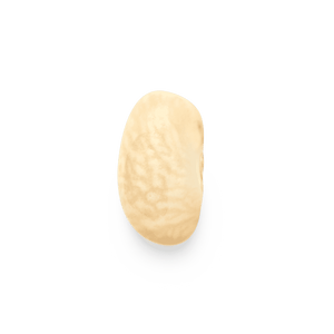 Frijoles Chivo Blanco (al por mayor)