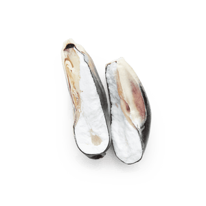 Maíz Nativo | Masienda Blue Cónico Azul de México | #2 de #4