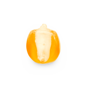 Bolita amarilla (al por mayor)
