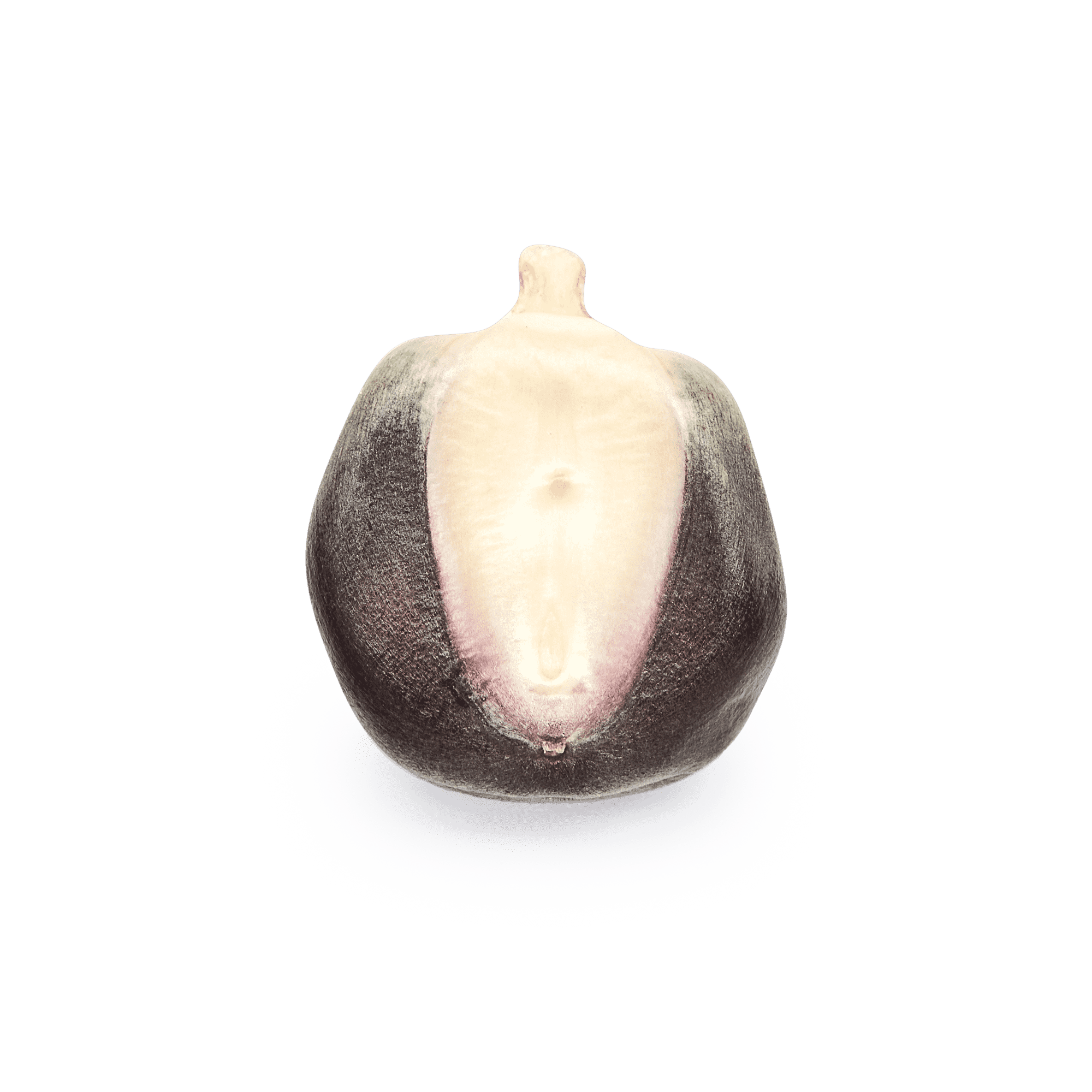 Maíz Nativo | Masienda Blue Bolita de México | #1 de #3