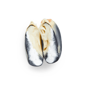 Maíz Nativo | Masienda Blue Bolita de México | #2 de #3