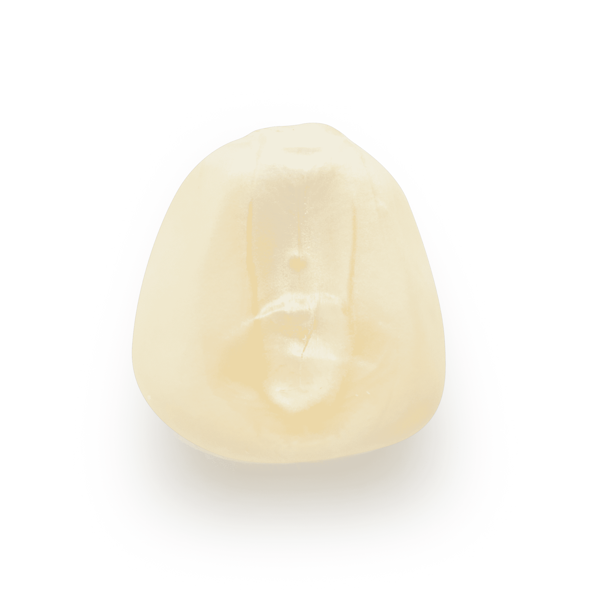 Maíz Nativo | Masienda Cacahuazintle para Pozole | #1 de #4