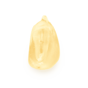 Chalqueño blanco (al por mayor)