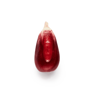 Cónico Rojo (al por mayor)