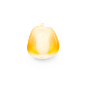 Olotillo amarillo (al por mayor)