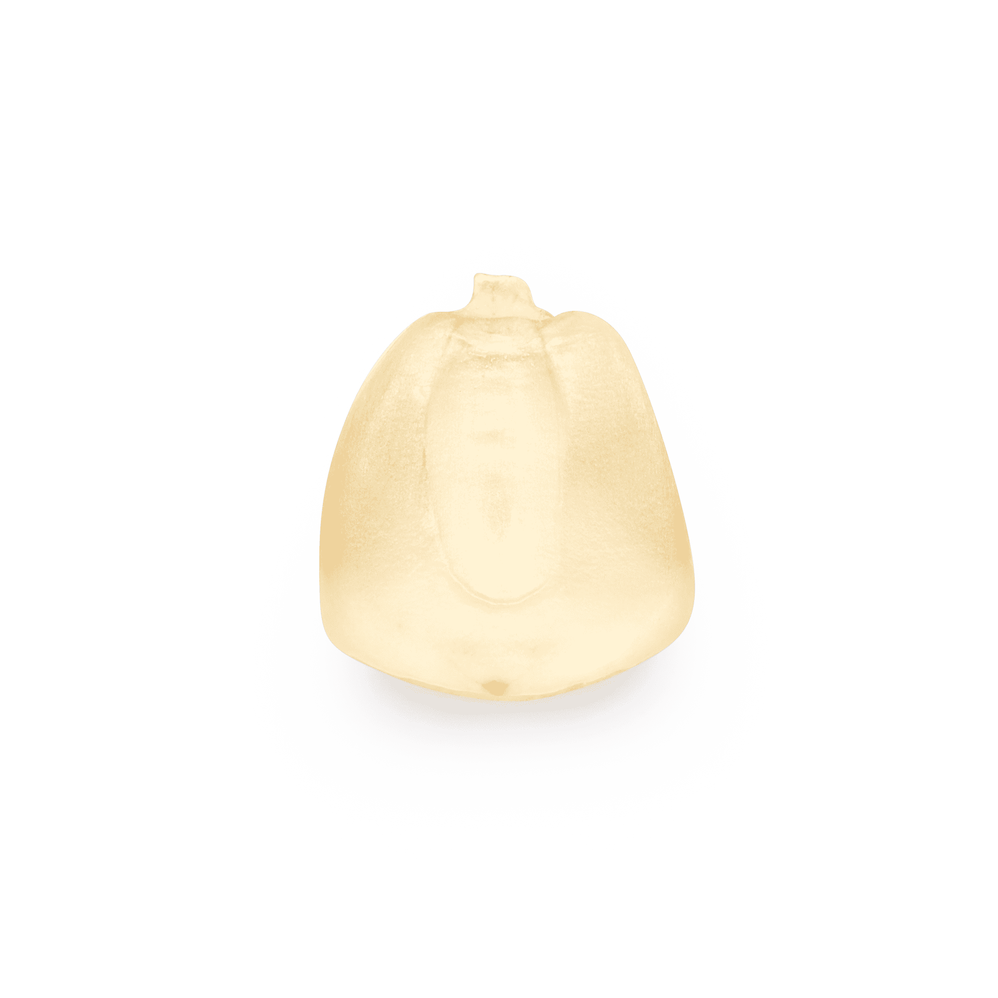 Maíz Nativo | Masienda White Olotillo Blanco | 55 lb
