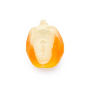Tuxpeño amarillo (al por mayor)