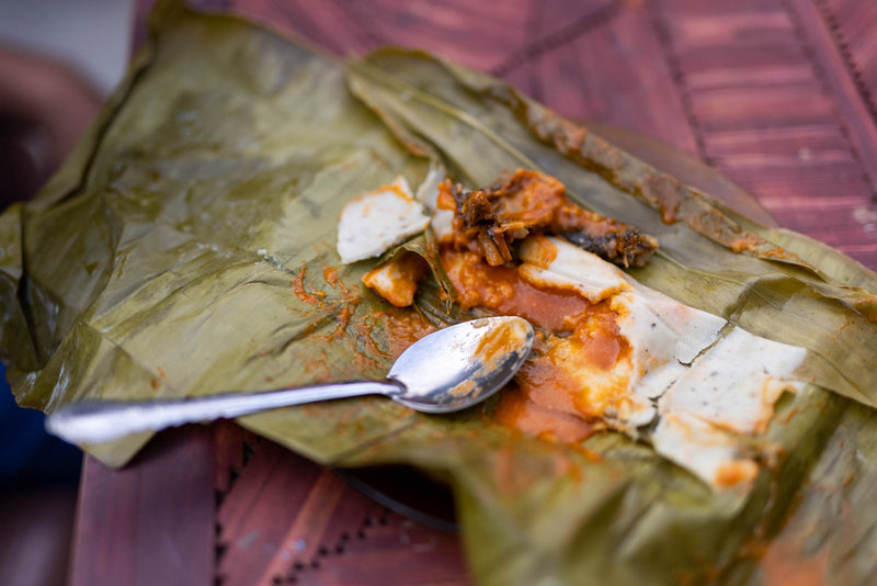 Hunting Iguana for Tamales in Coastal Oaxaca