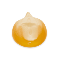 Heirloom Corn | Masienda Yellow Jala Amarillo from Mexico