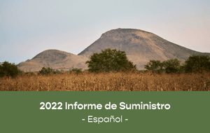  Informe de abastecimiento 2022 en español