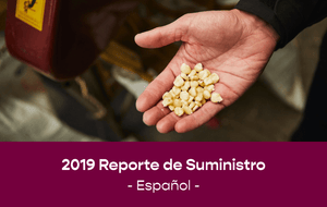  Informe de abastecimiento 2019 en español
