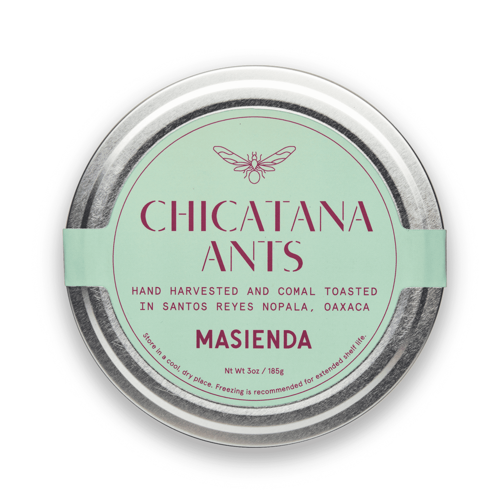 Hormigas Chicatanas | Masienda Chicatanas de temporada de México