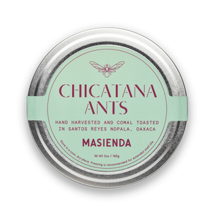 Chicatana Ants