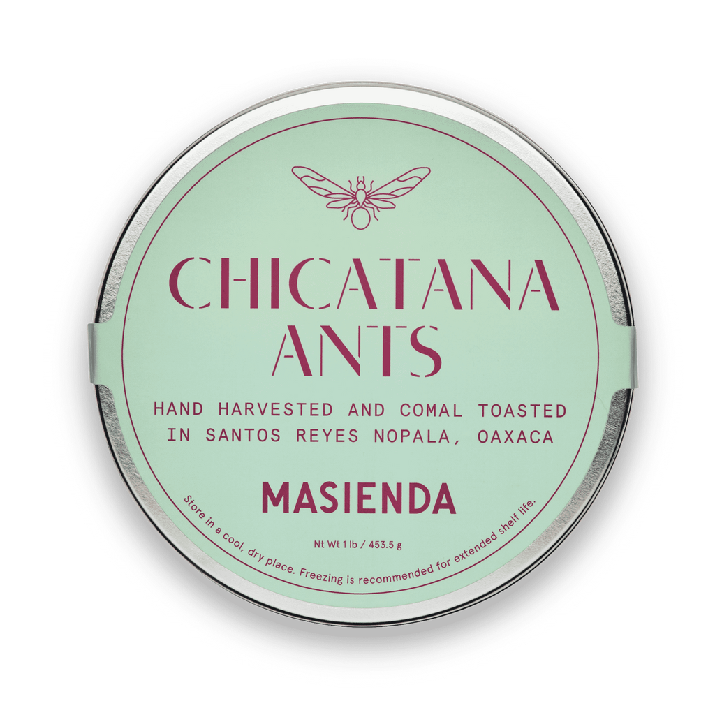 Hormigas Chicatanas | Masienda Chicatanas de temporada de México