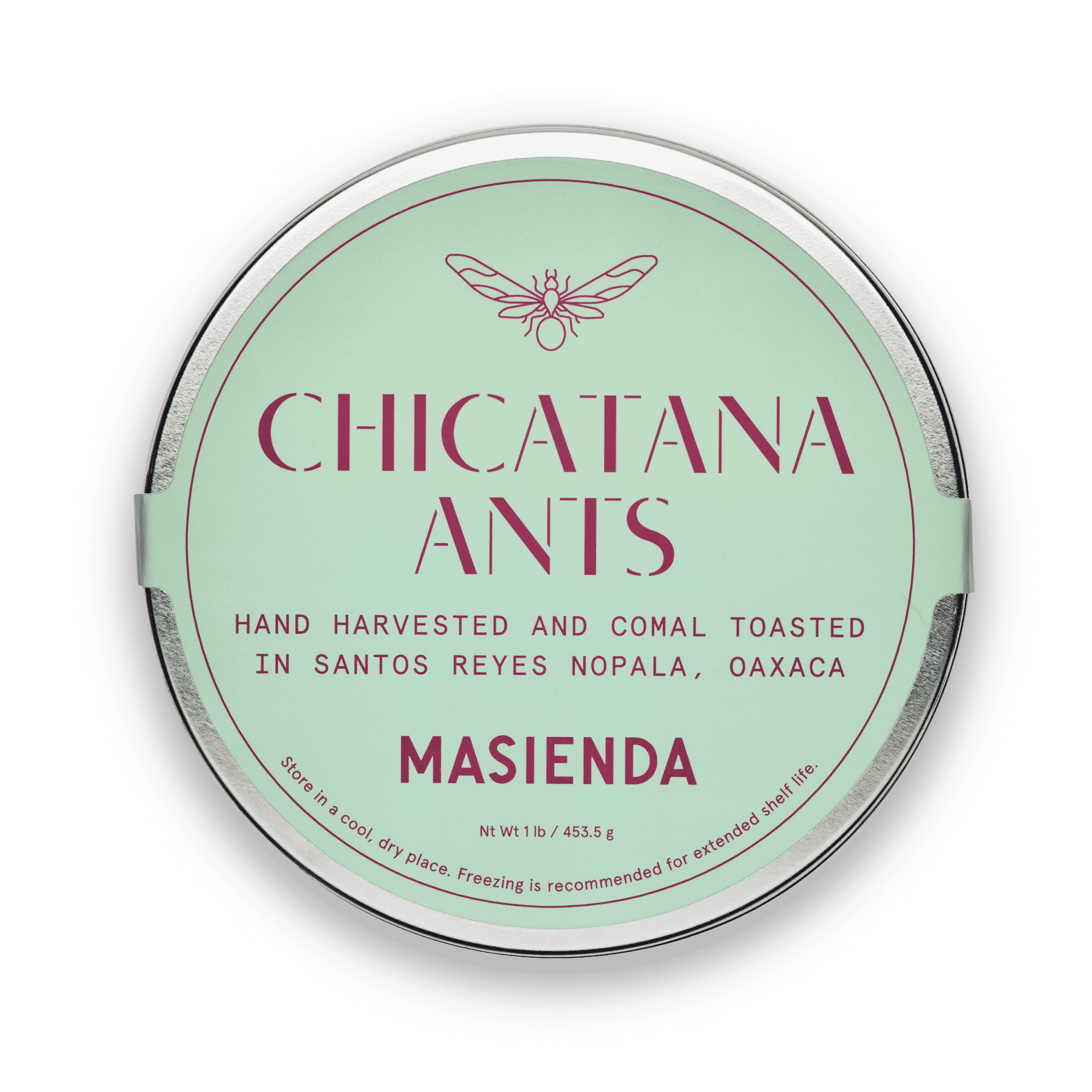 Hormigas Chicatanas | Masienda Chicatanas de temporada de México